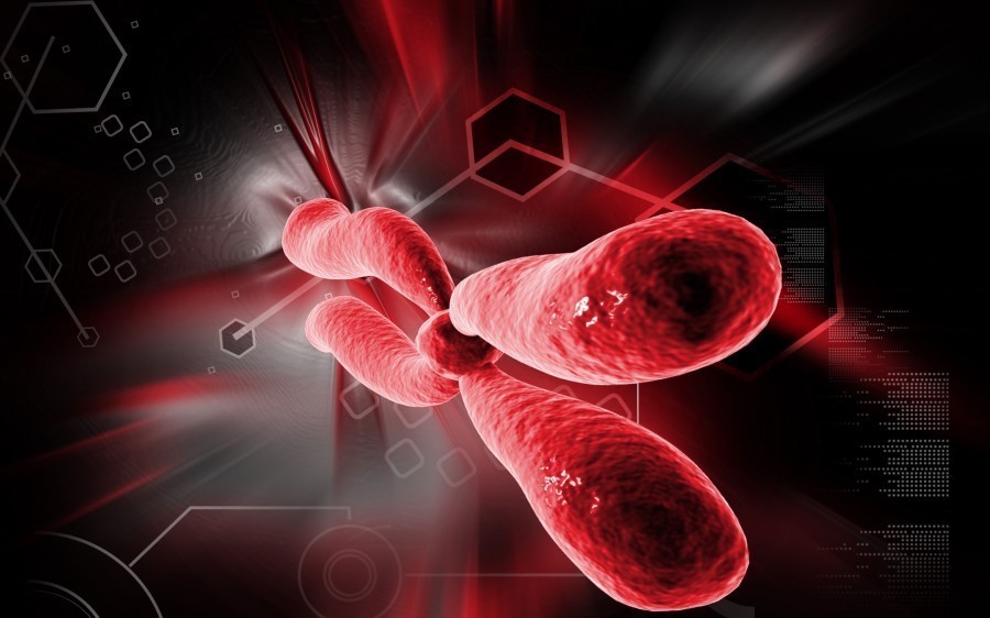 Le rôle des vasodilatateurs dans le système cardiovasculaire